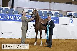 13r9_2704 proof