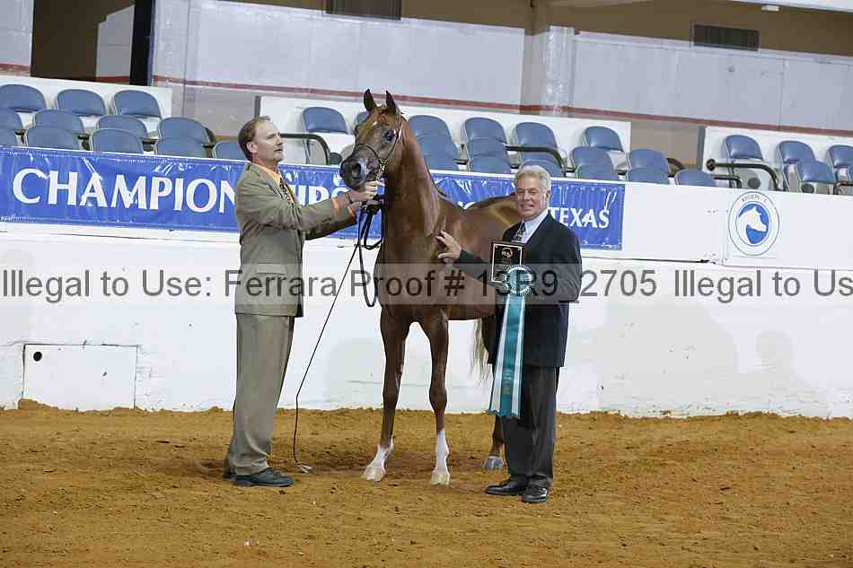 Proof 13r9_2705