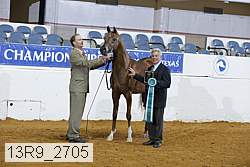 13r9_2705 proof