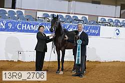 13r9_2706 proof