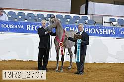 13r9_2707 proof