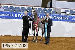 13r9_2708 proof