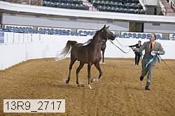 13r9_2717 proof