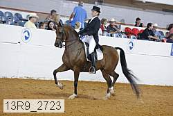 13r9_2723 proof