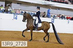 13r9_2728 proof