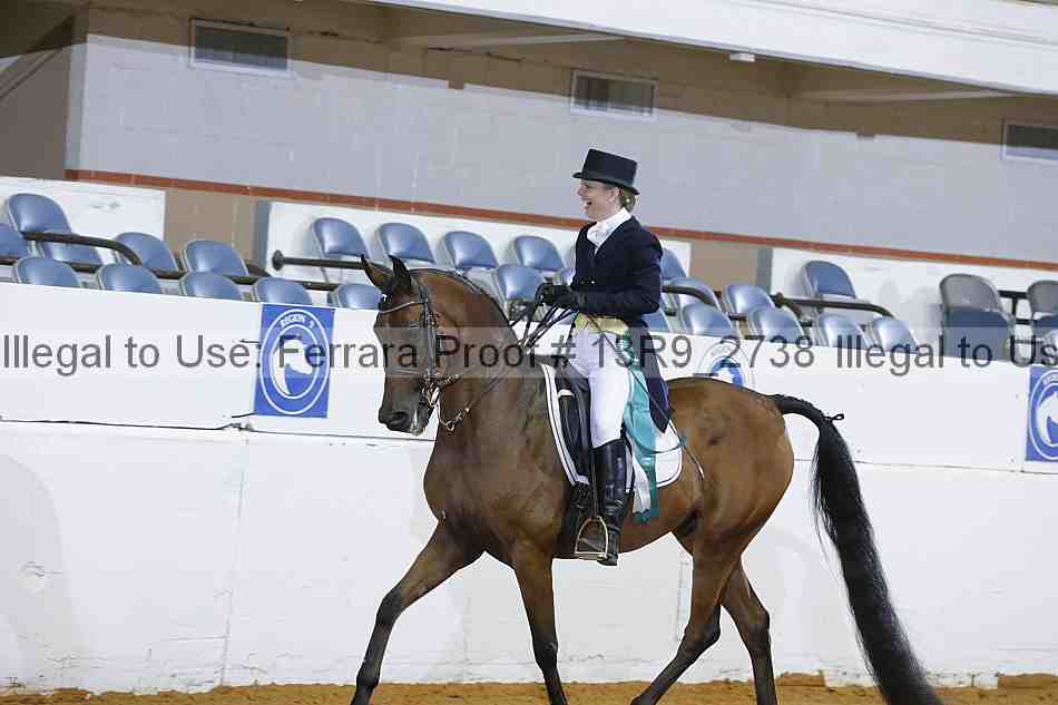 Proof 13r9_2738