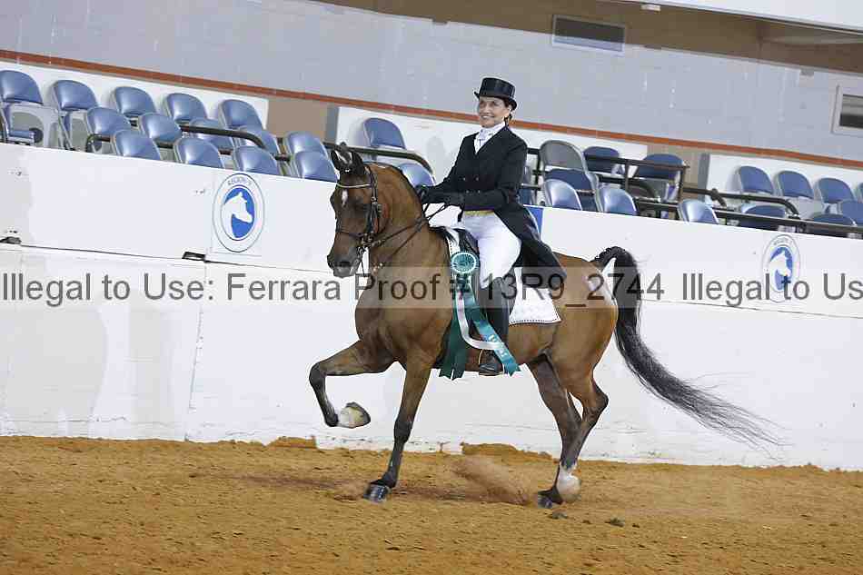 Proof 13r9_2744