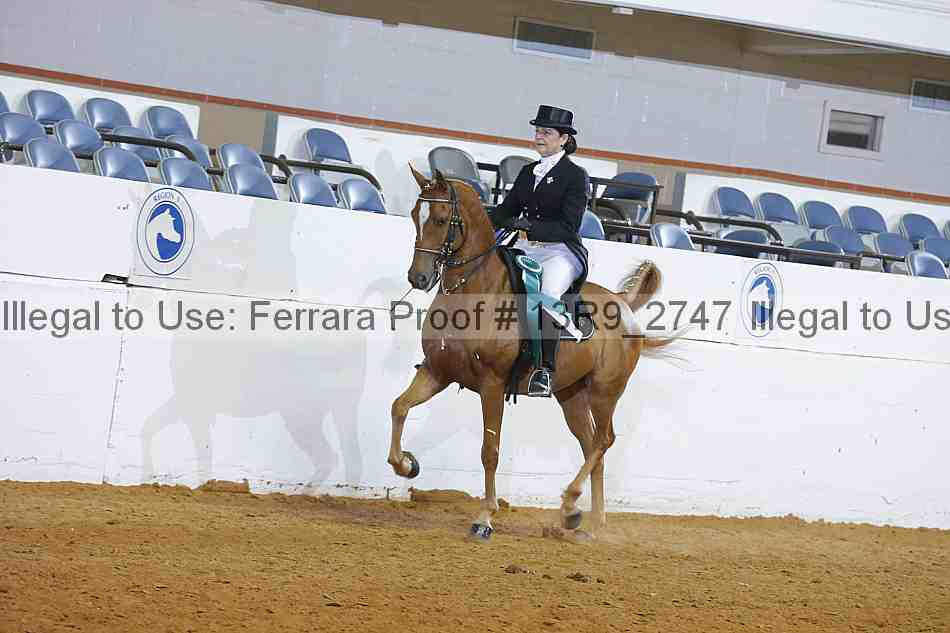 Proof 13r9_2747