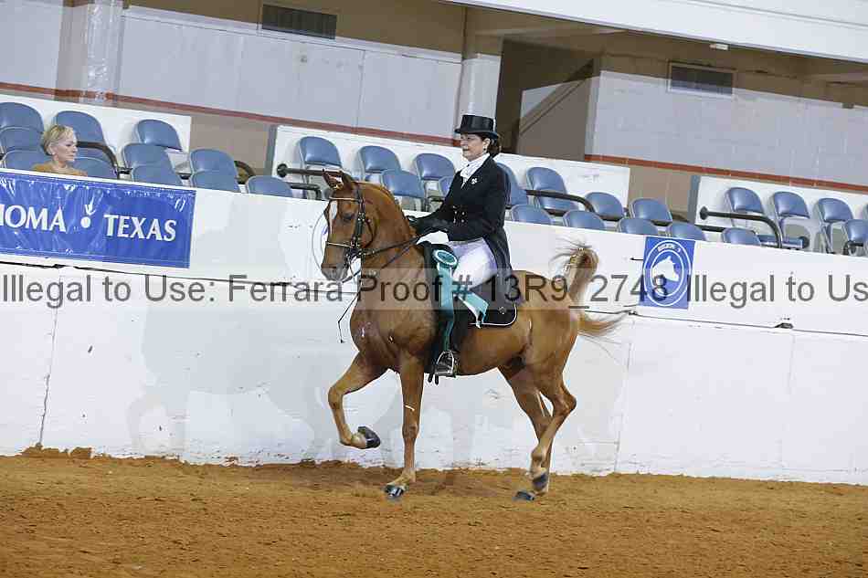 Proof 13r9_2748