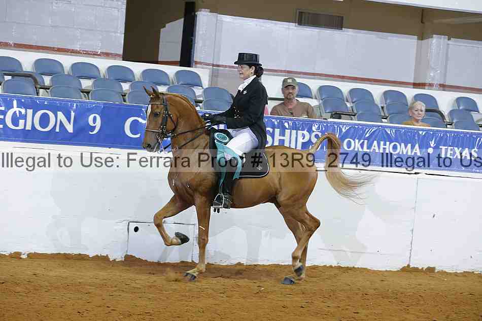 Proof 13r9_2749