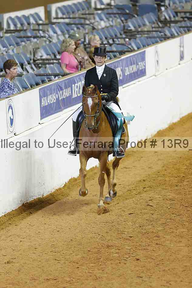 Proof 13r9_2751