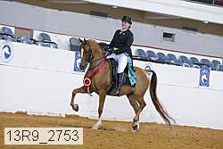 13r9_2753 proof