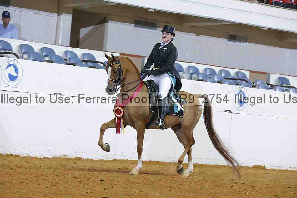 Proof 13r9_2754
