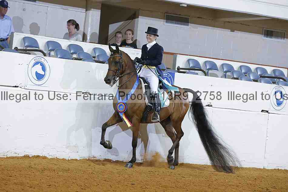 Proof 13r9_2758