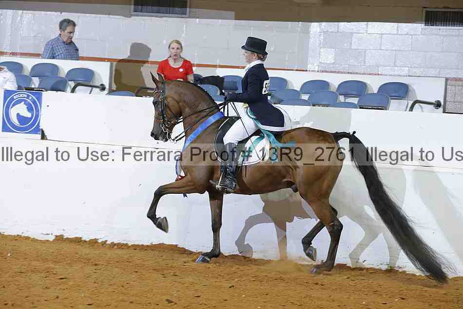 Proof 13r9_2761