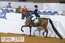 13r9_2761 proof