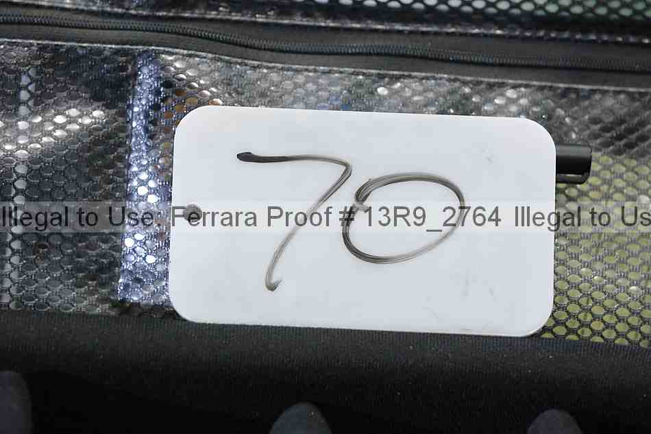Proof 13r9_2764