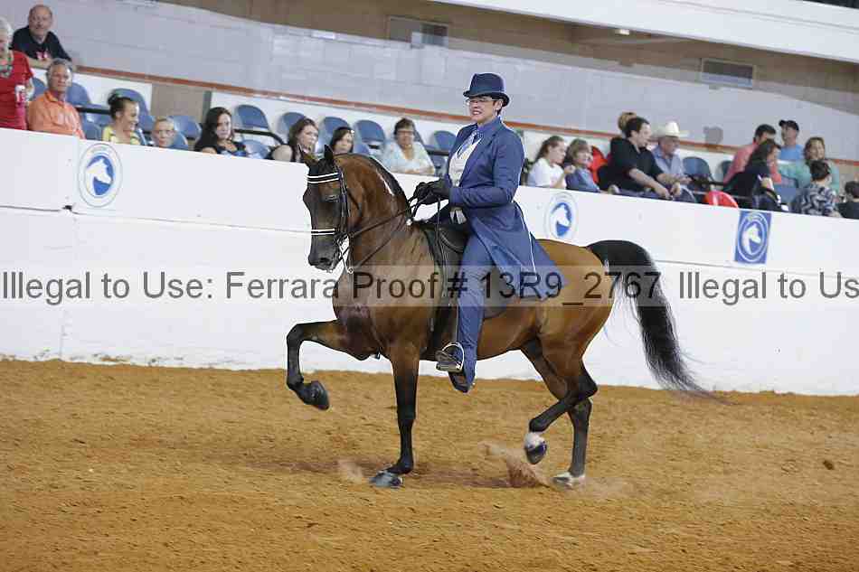 Proof 13r9_2767