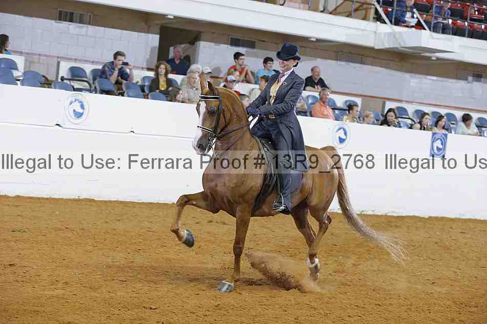 Proof 13r9_2768