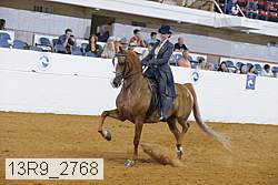 13r9_2768 proof