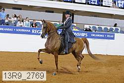 13r9_2769 proof