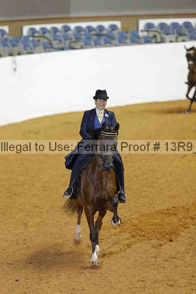 Proof 13r9_2770