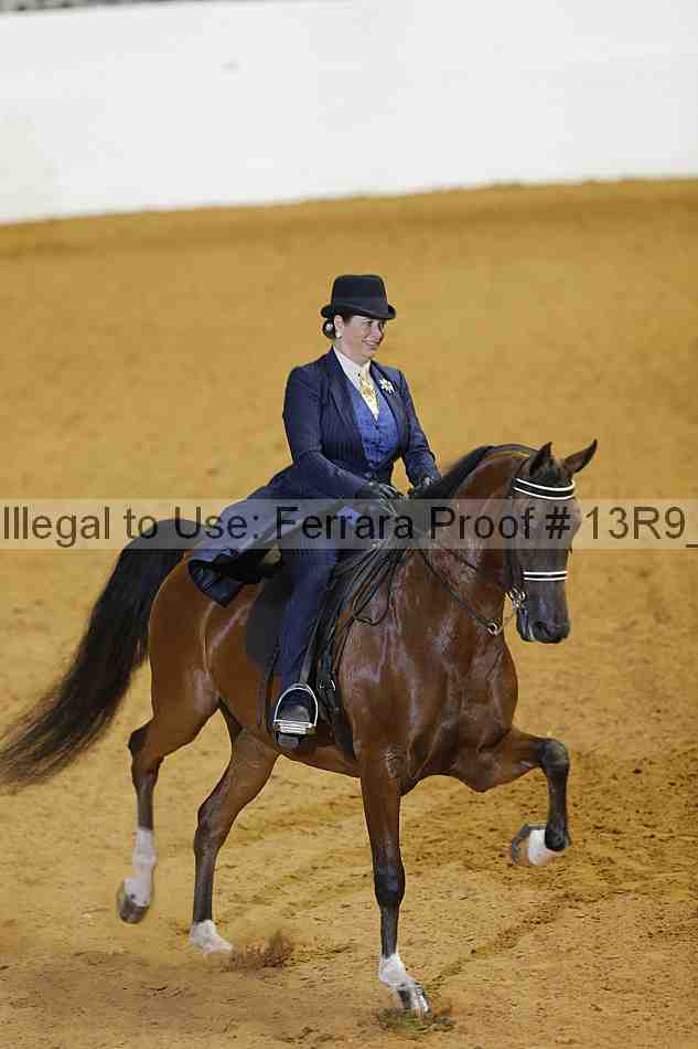 Proof 13r9_2771