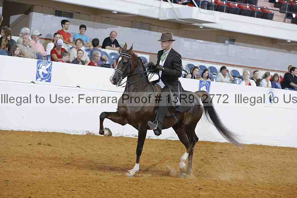 Proof 13r9_2772