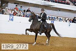13r9_2772 proof