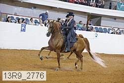 13r9_2776 proof