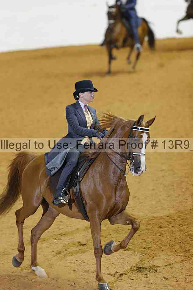 Proof 13r9_2777