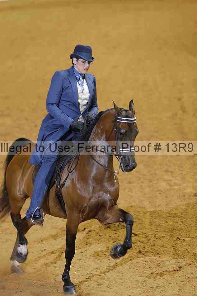 Proof 13r9_2779