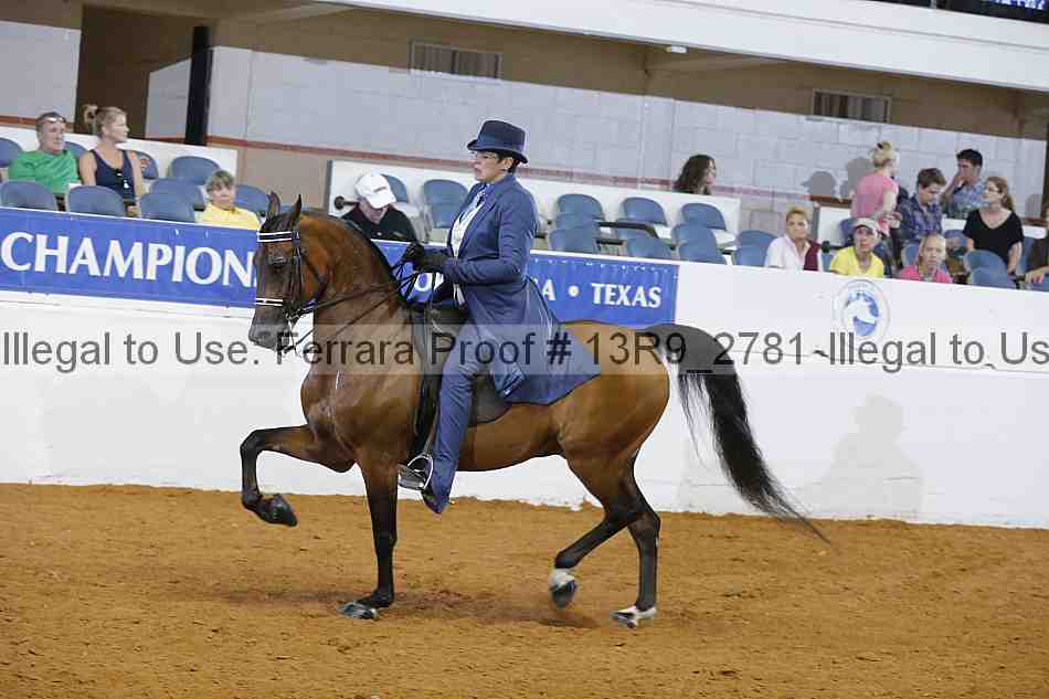 Proof 13r9_2781