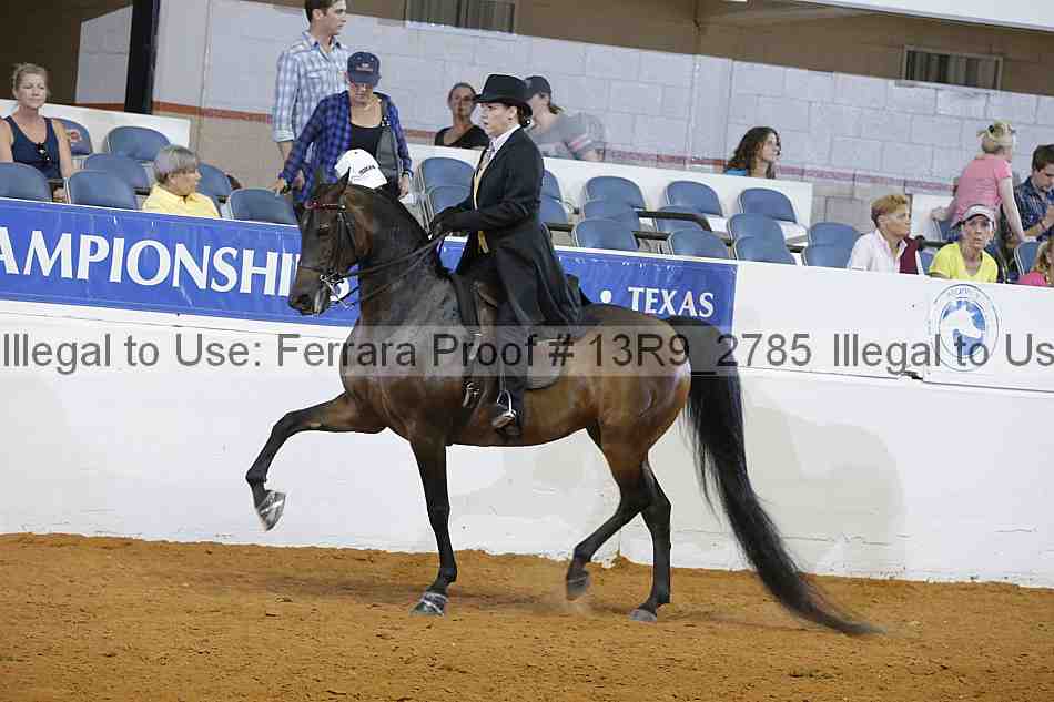 Proof 13r9_2785