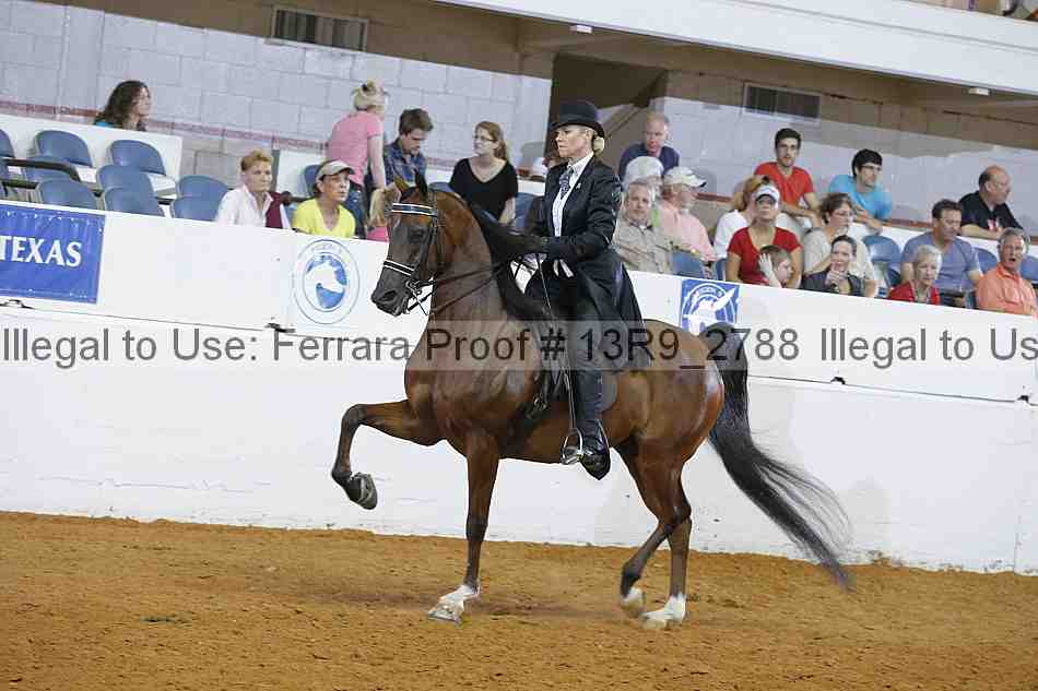 Proof 13r9_2788