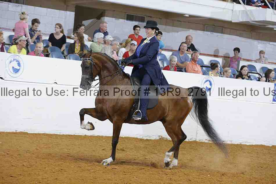 Proof 13r9_2791