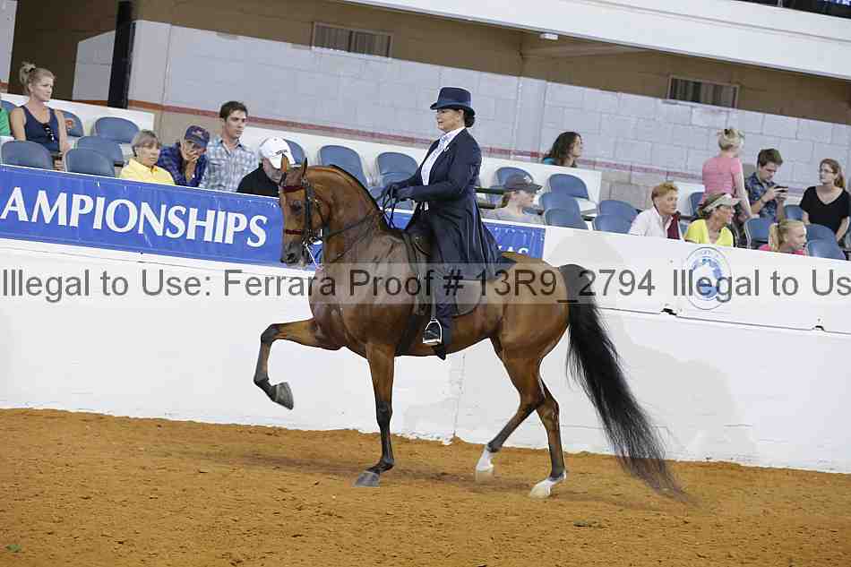 Proof 13r9_2794