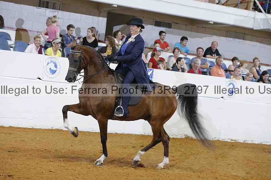 Proof 13r9_2797