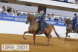 13r9_2801 proof