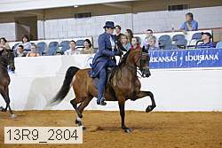 13r9_2804 proof