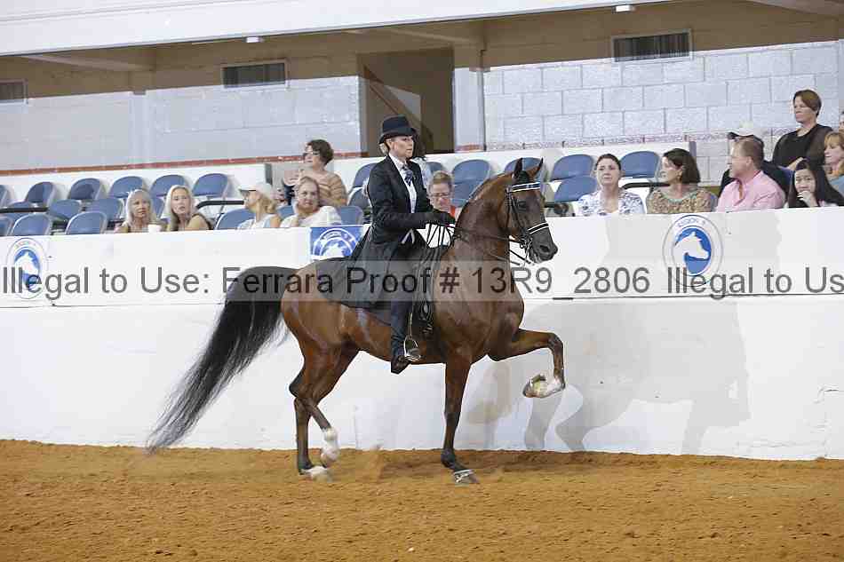 Proof 13r9_2806