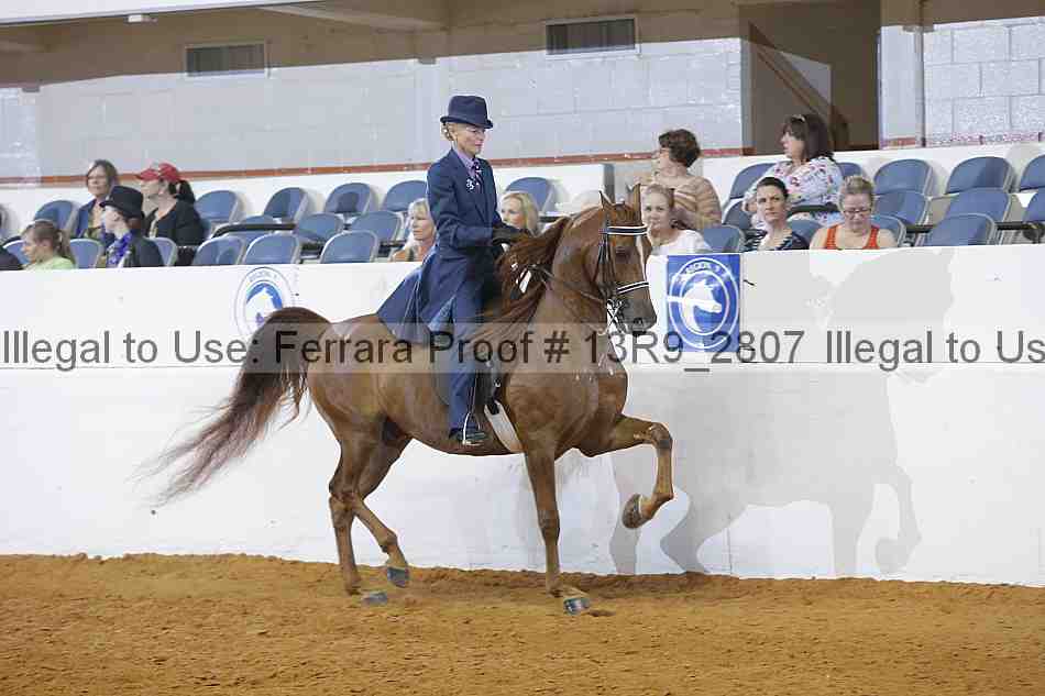 Proof 13r9_2807