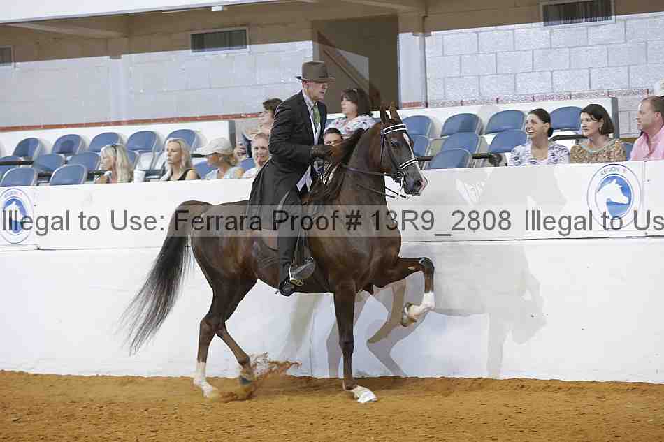 Proof 13r9_2808