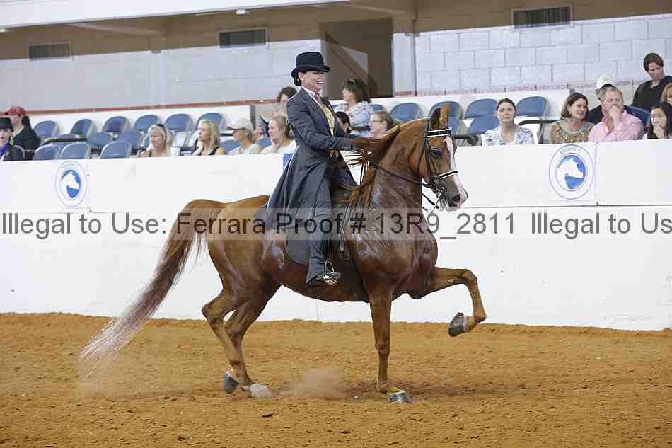 Proof 13r9_2811