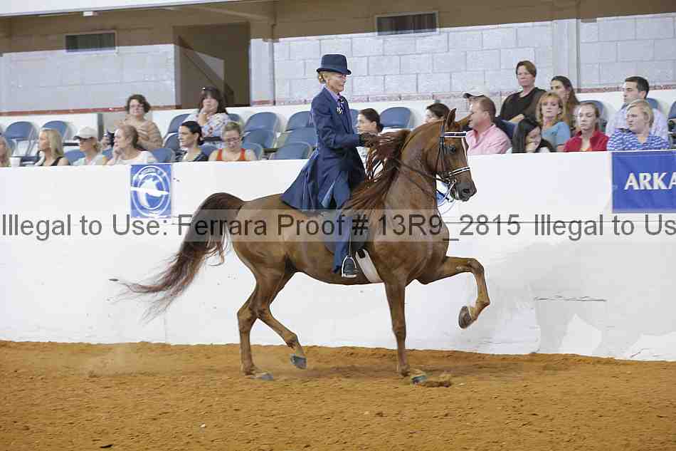 Proof 13r9_2815