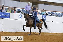 13r9_2822 proof
