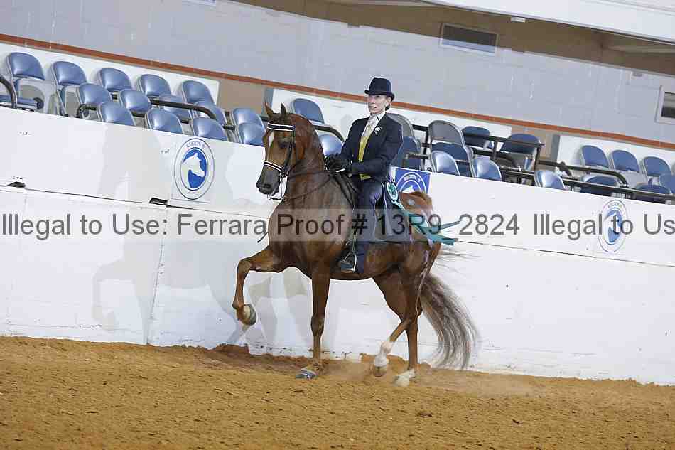 Proof 13r9_2824