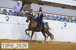 13r9_2826 proof