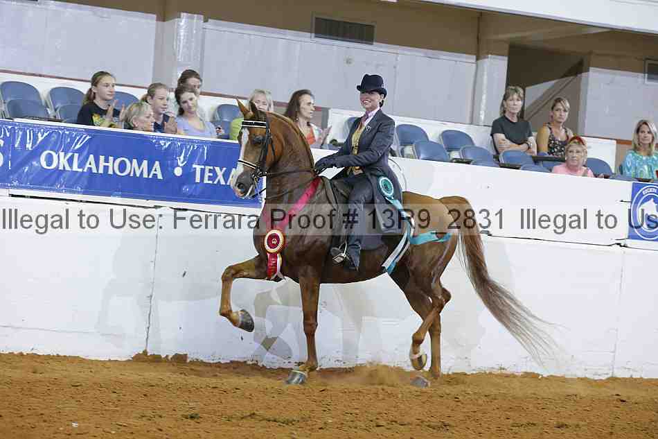 Proof 13r9_2831