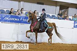13r9_2831 proof
